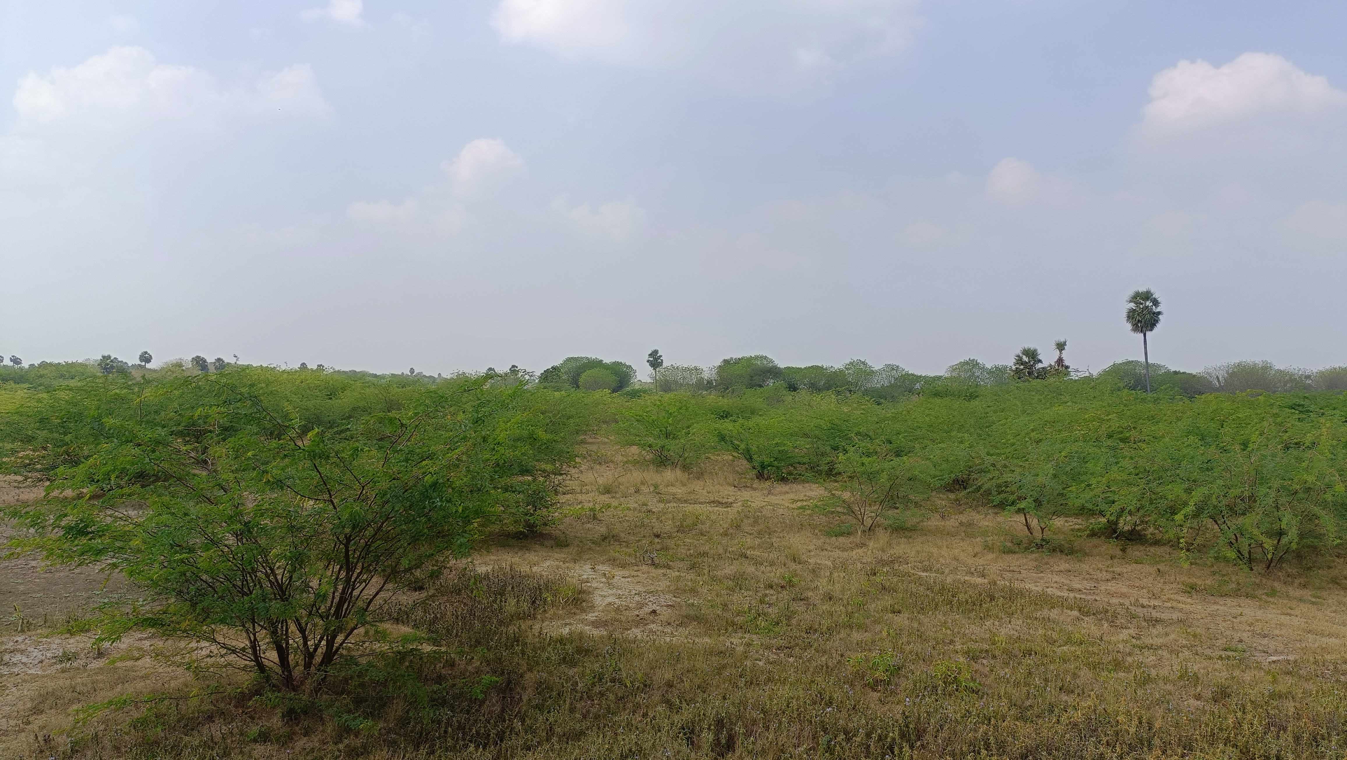 IMG20230120121845.jpg